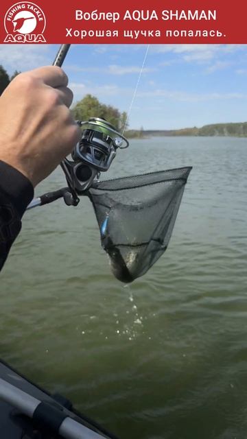 Воблер SHAMAN для рыбалки на щуку, окуня, судака и других хищных рыб.