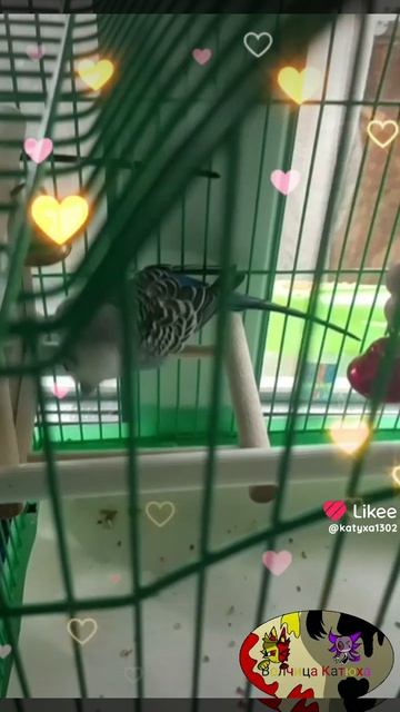 😊Мега танец Умника под музыку дыгын ДЫЩ 😊🙂