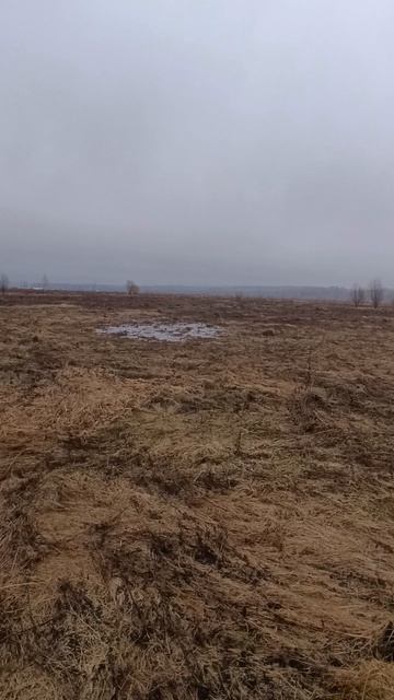 Земля От Государства_Локация №12