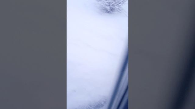 погода снежная весной и Маруся голосовой помощник