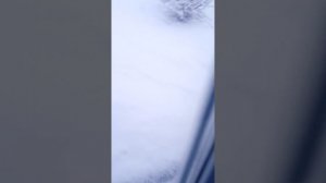 погода снежная весной и Маруся голосовой помощник