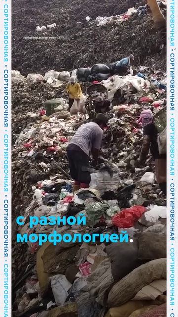 Обвал свалки в Индонезии: людей накрыло мусором