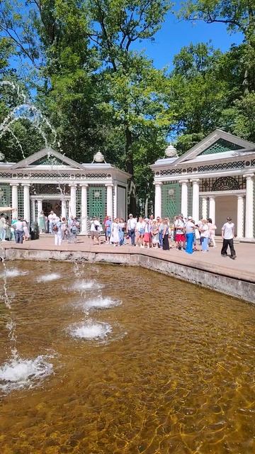 Петродворец. Трельяжная беседка