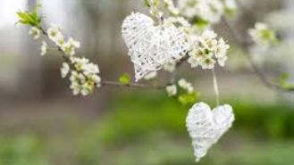 Пора любви пришла ....