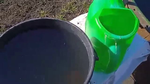 подкормка чеснока весной