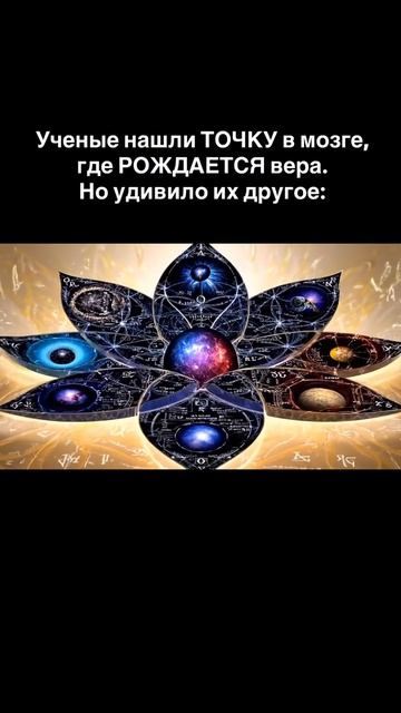 Учёные нашли точку в мозге, где рождается вера