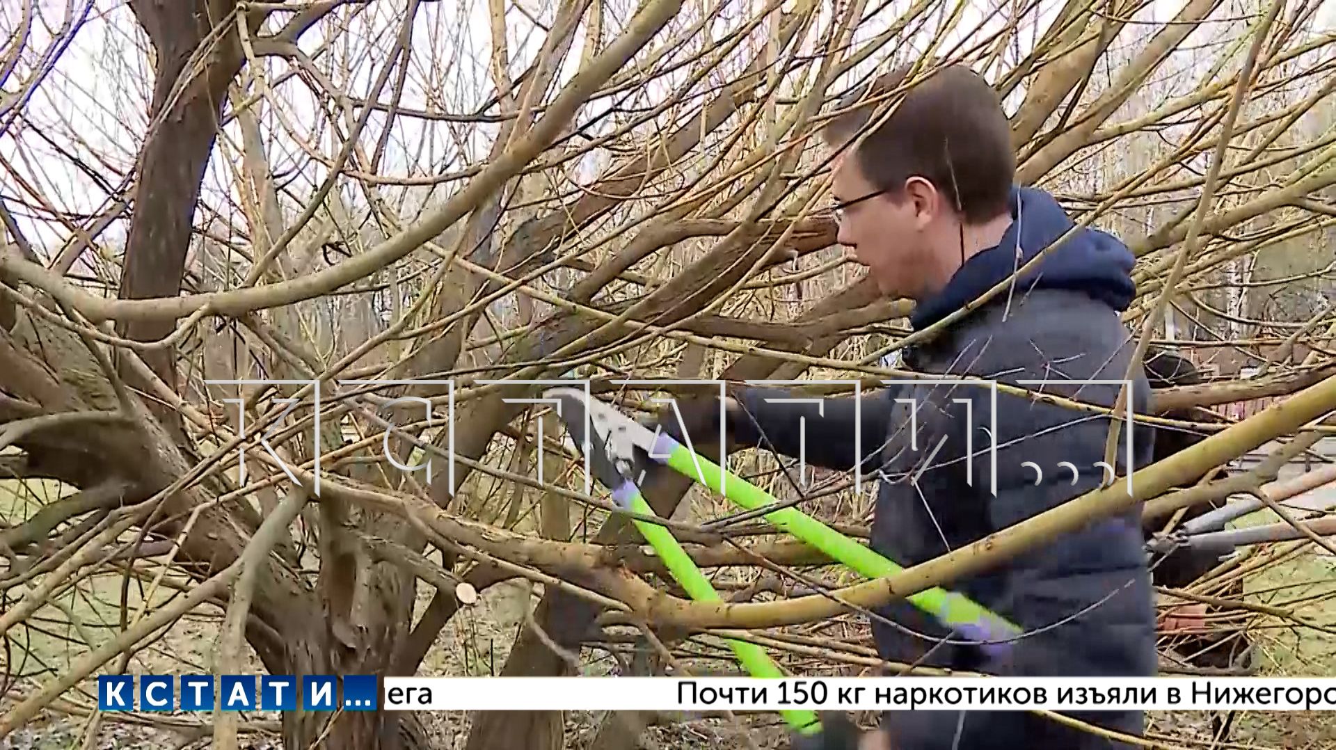 Общегородской субботник прошёл в Нижнем Новгороде в эти выходные