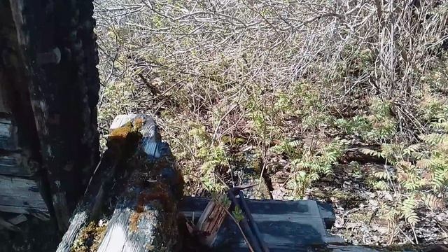 Дом Предков