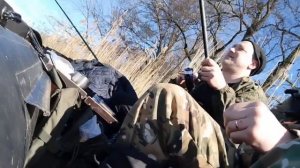 "Весенняя, Ржевка"