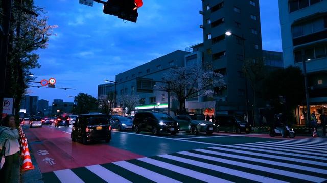 ЯПОНИЯ. ТОКИО. Цветущая сакура в Кудане, Чидоригафути, храме Ясукуни _