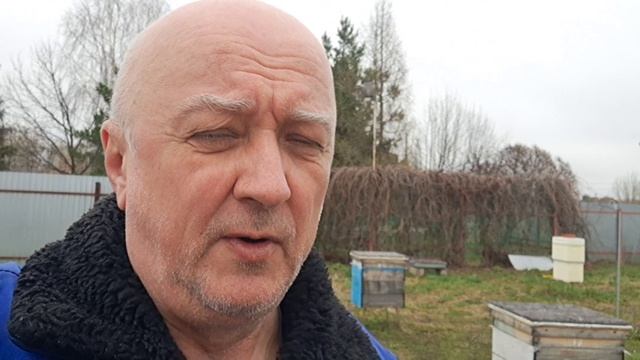 Когда, как и чем расширять гнёзда пчел