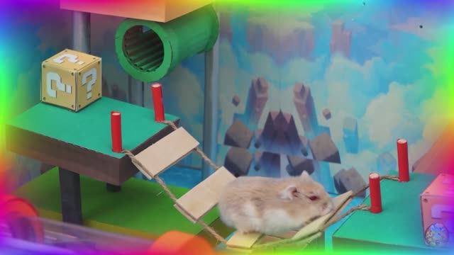 Хомяк в ловушке в невероятном лабиринте: каждый поворот - сюрприз! часть 2