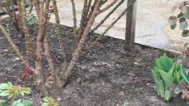 Пасхальная неделя продолжается 😅. Обзор продаж жилья. 18.09.26. Динская