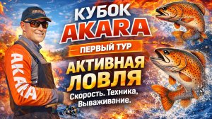 Стратегия и ловля форели на блёсны «АКАРА»