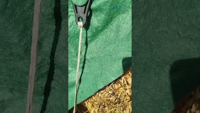 Видео от нашего покупателя о флисе для сена от Лелаф-Ланитэкс, тип ПраймТэкс, его первые впечатления