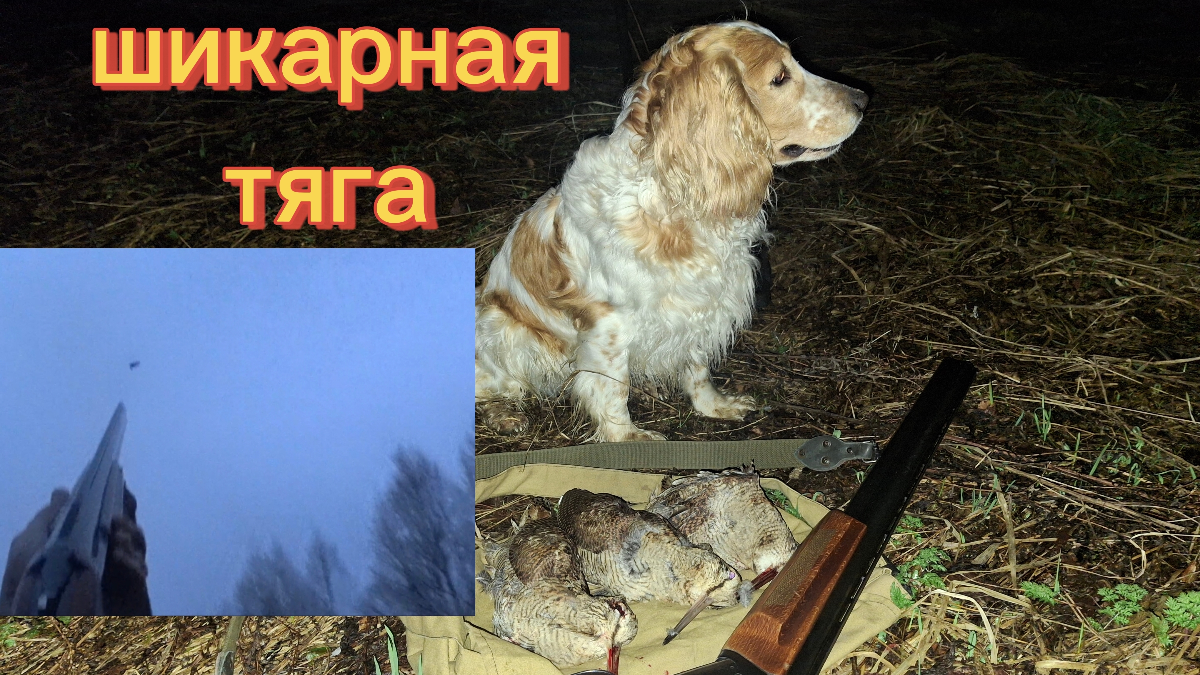 тяга , отлично открылись. весна2026