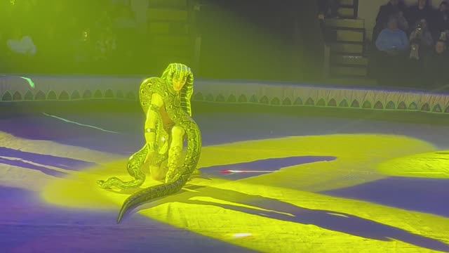 Опасные рептилии на арене цирка!