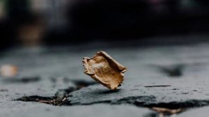 Исчезник & Есенин - Проходил я мимо