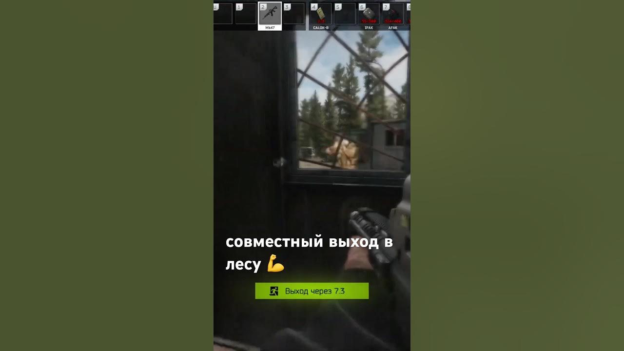 совместный выход. лес #eft #тарков #escapefromtarkov #tarkov