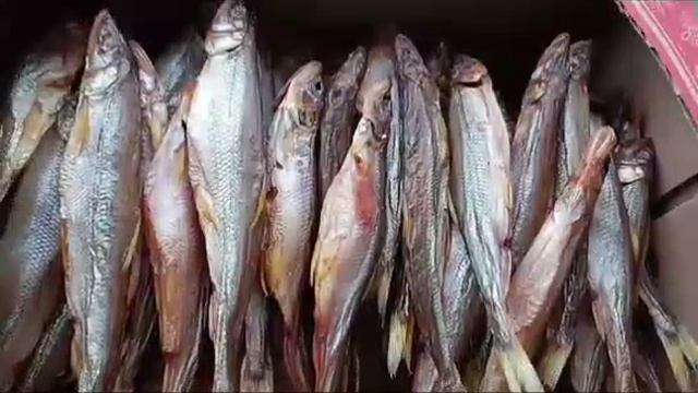 Икряная мойва холодного копчения