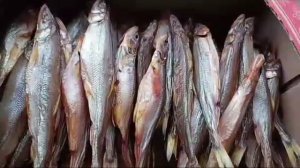 Икряная мойва холодного копчения