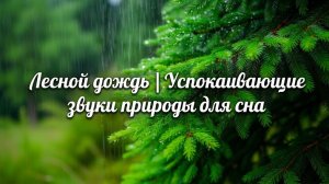 Лесной дождь | Успокаивающие звуки природы для сна