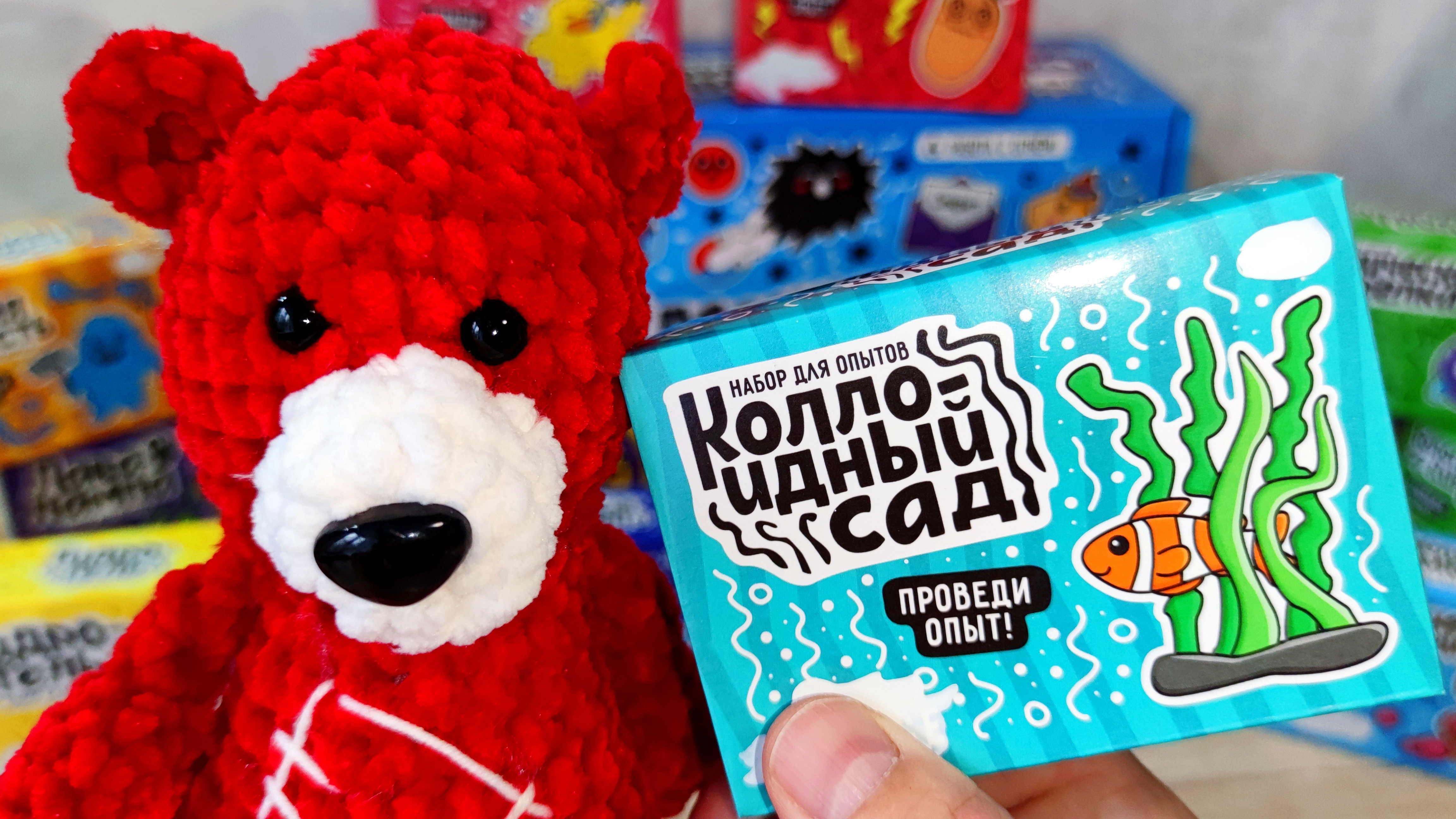 Коллоидный Сад Медведь Костя. Эксперт. Опыт