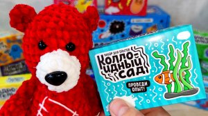 Коллоидный Сад Медведь Костя. Эксперт. Опыт