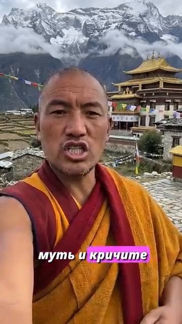 Вы — не ваша ошибка _ Монах о стыде #психология #саморазвитие #когерентность #мо