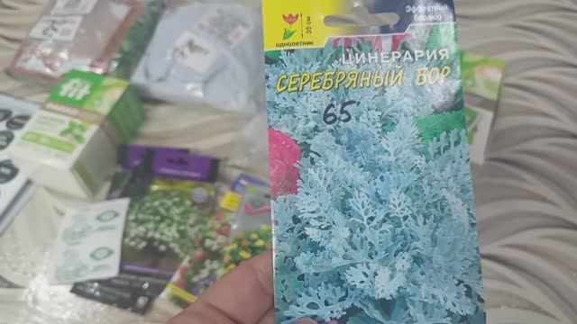 ВЛОГ 💐5_2026💐Всего по не многу.