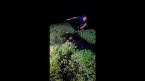 Калейдоскоп 92.