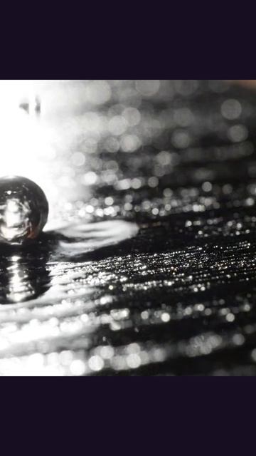 #капли #ратительнаяприрода #мгновение #свежесть #капливоды