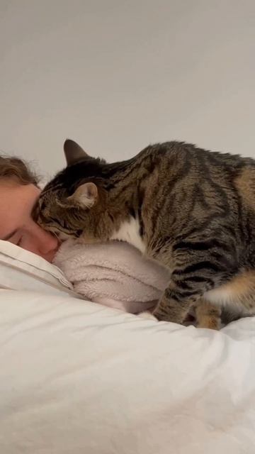 Вставай! На работу опоздаещь.