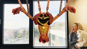 Дог Дей и Кэт Нэп не Друзья