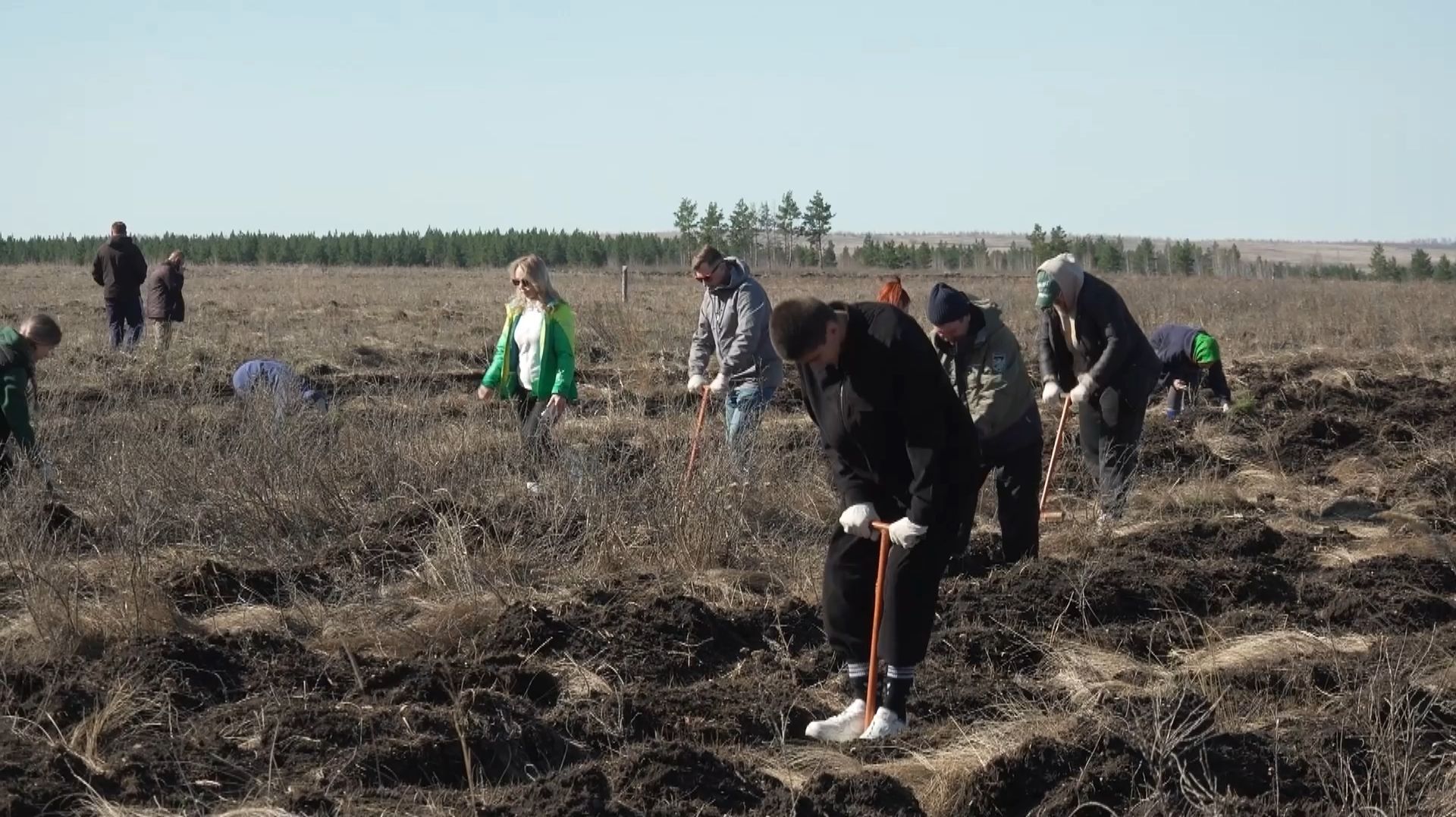 Время местное. Эфир: 20-04-2026 - Высадка зелёного пояса