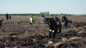 Время местное. Эфир: 20-04-2026 - Высадка зелёного пояса