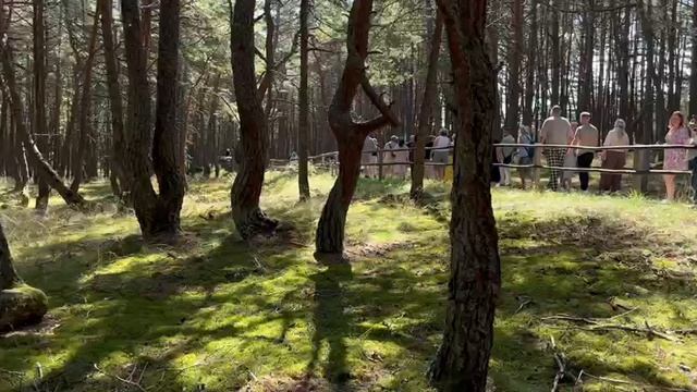 23.07.25г. Поездка в Калининград