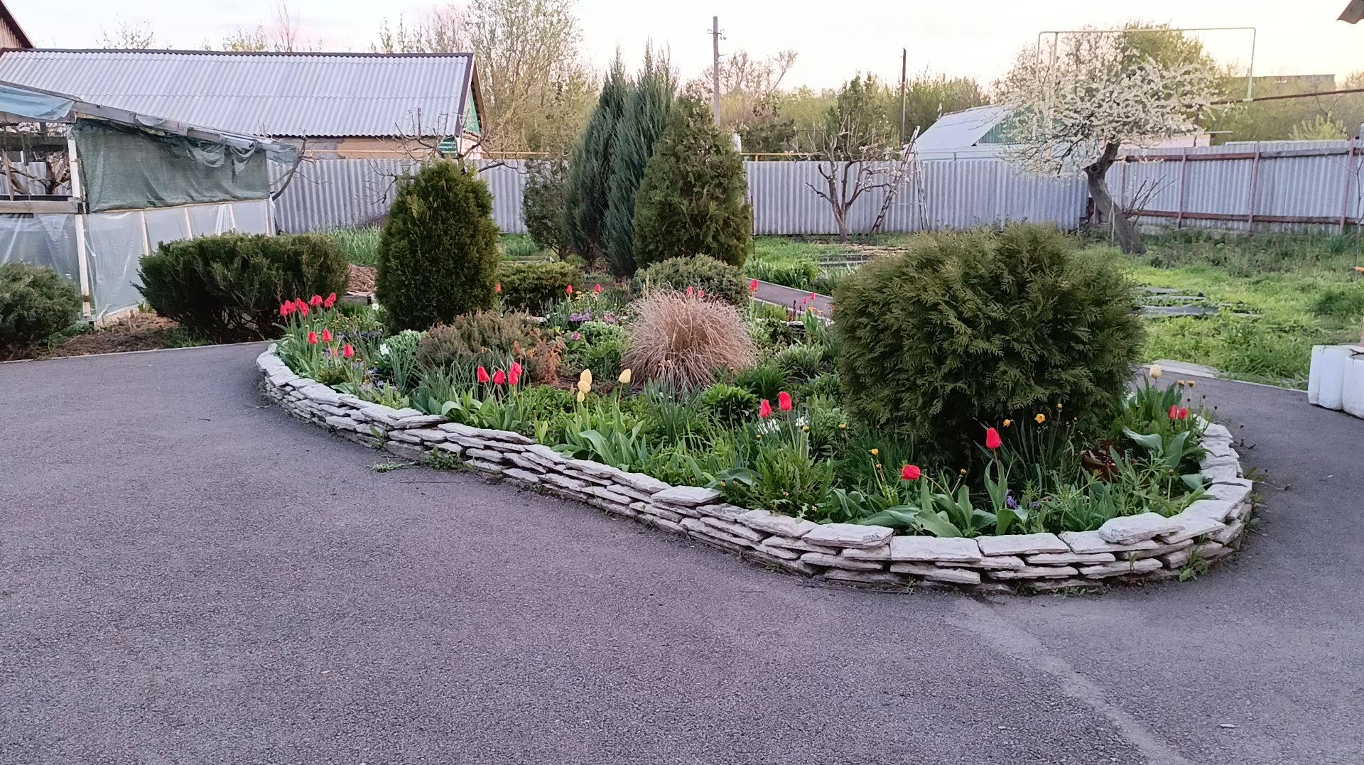 Ремонт теплицы. Подкормка роз. Обзор участка. Покос травы 20.04.26