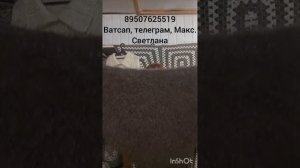 20.04.26.Палантины,шарфы,косынки,перчатки,джемпер,кардиган,свитер,жилет,кофта,шапка,шарф,панталоны.