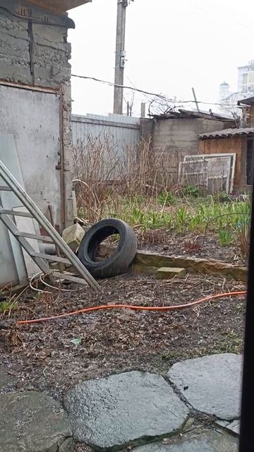 дождь с снегом