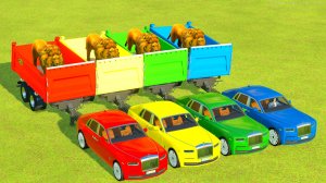 Для детей: ПЕРЕВОЗКА ЛЬВОВ НА РАЗНОЦВЕТНЫХ ROLLS-ROYCE 2 ЧАСТЬ