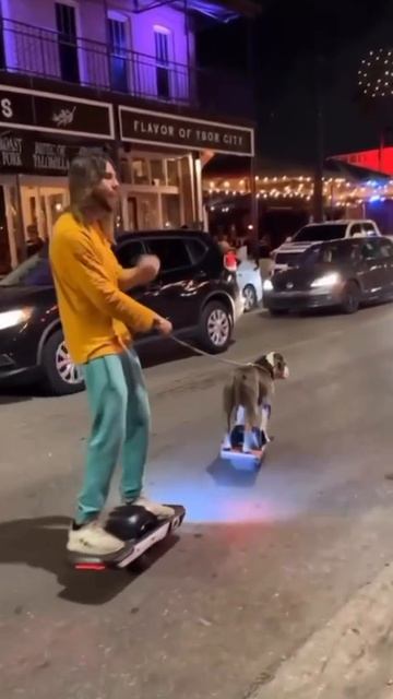 Как-то так выглядит современная прогулка с собакой