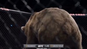 Нганну против гориллы, медведя и не только.