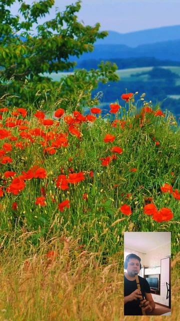 БОЖЕСТВЕННЫЙ ЗВУК ФЛЕЙТА ТВОРИТ ЧУДЕСА