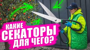 КАКИЕ СЕКАТОРЫ ВЫБРАТЬ