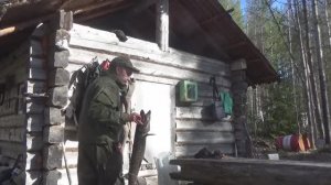 На избу с ночевкой / рыбалка на самоловки (жерлицы) / Глухариный ток.