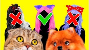 КисКис: Выбери правильную няню! Котик и пёсик одни дома 👶🐱🐶