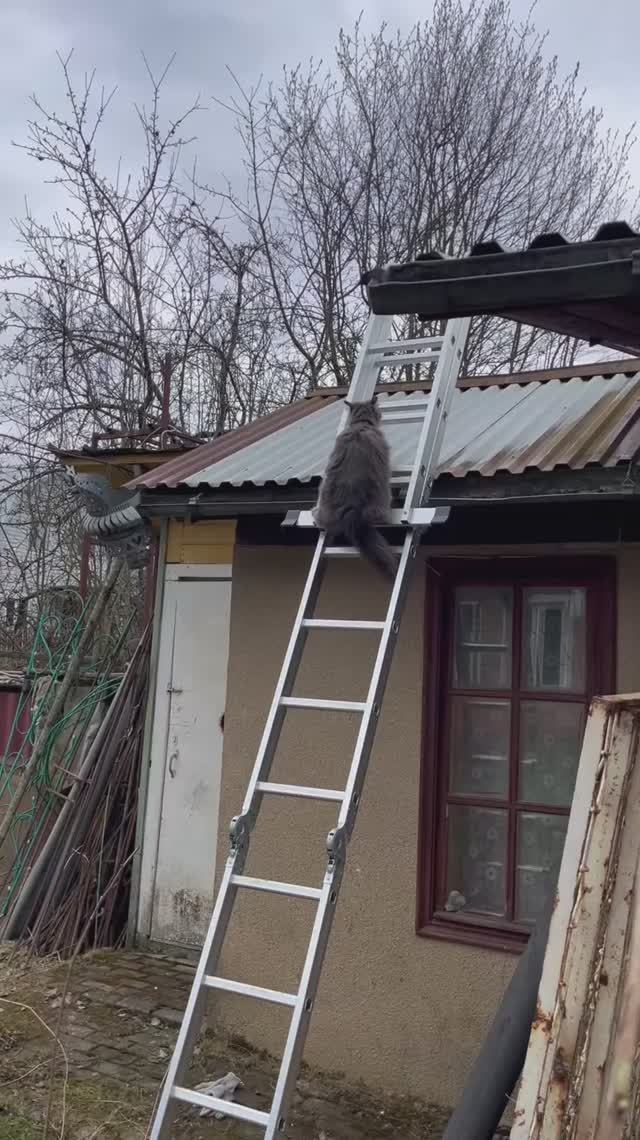 По лестнице удобнее...