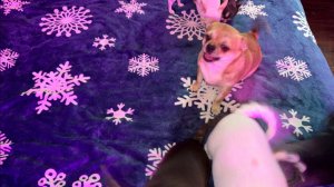 Доброго всем утречка и чудесного начала дня!