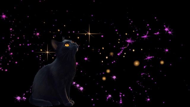 Звездная красота